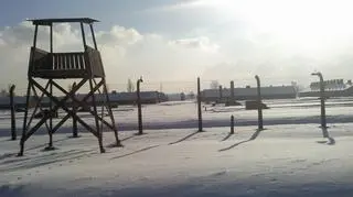 Niemcy będą dalej ścigać zbronidarzy z Auschwitz