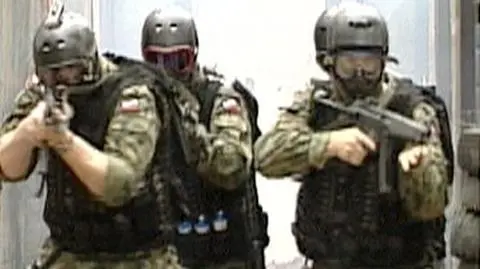 Najemnicy pod kontrolą