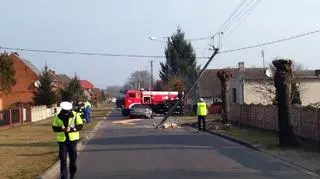 Kobieta ścięła słup