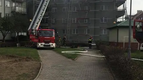 Wrocław. Pożar poddasza, 12 zastępów straży w akcji