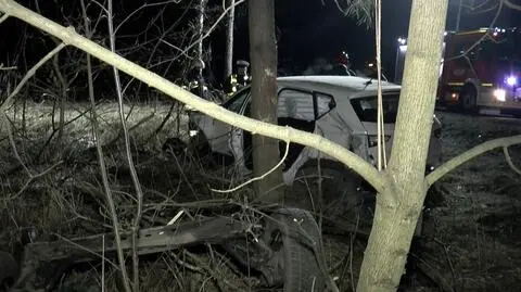 Wielkopolska: Pijana wjechała w drzewa, ranne dziecko