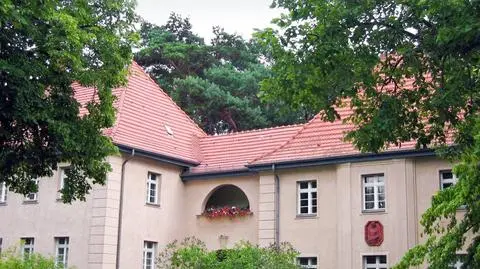 Dom ze szkieletem w piwnicy na sprzedaż