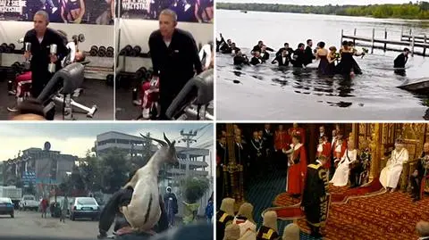 Podróż "na kozła" zdominowała konkurencję. Wybraliście wideo tygodnia