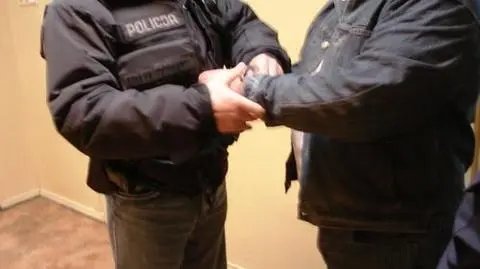 Bracia podejrzani o napady na jubilerów w areszcie