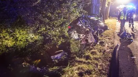 Wypadł z drogi, uderzył w drzewo