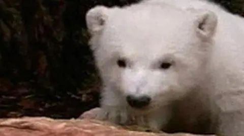 "Płatek" na pierwszym spacerze