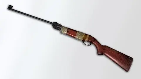 14-latek strzelał z wiatrówki do przechodniów. Dla zabawy 