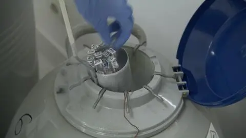 Co z in vitro w Warszawie?