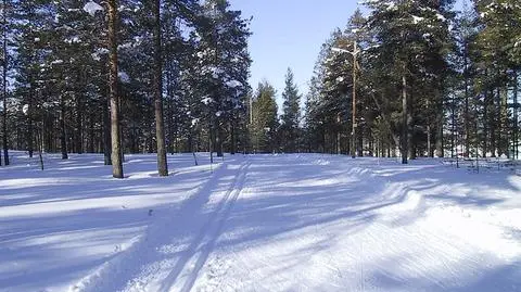 Jakuszyce walczą z uciążliwymi przepisami