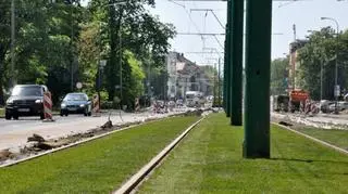 Trawa ciągnie się w stronę ul