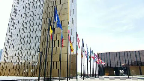 Precedensowy wyrok Trybunału Sprawiedliwości. Na przykładzie Polaka