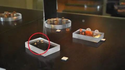 20-latek okradł muzeum. "Tłumaczył, że ma problemy rodzinne"