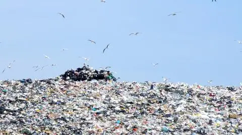 Największe wysypisko w Europie pełne. Rzym na skraju katastrofy