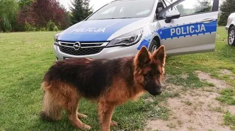Błąkał się przy lesie, uratował go policjant. Dał mu imię i dom