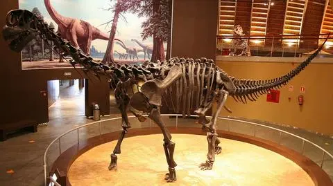 Nowy amerykański dinozaur
