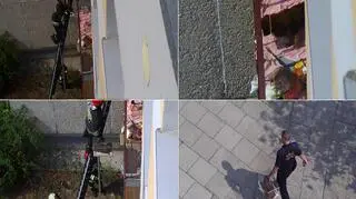 Strażnicy miejscy i strażacy uratowali psa pozostawionego na balkonie 