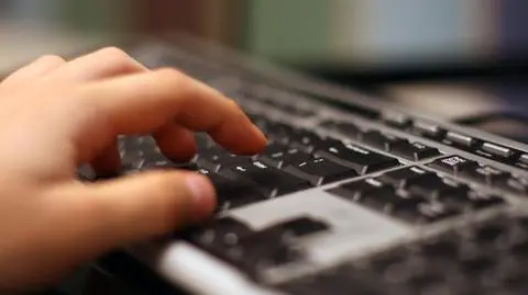 5 lat więzienia dla blogerki za szpiegostwo