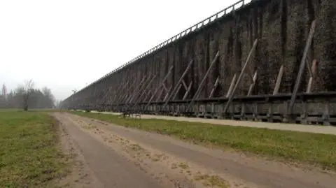 Zdrowia i igrzysk