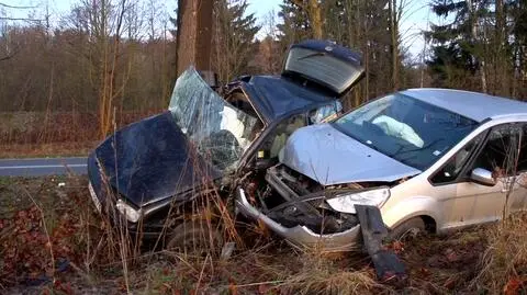 Ślisko na drogach. Poślizg, hamowanie i golf na drzewie