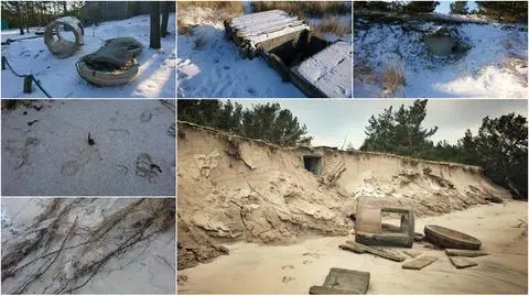 Znaleźli więcej niż tylko "grzybka" 