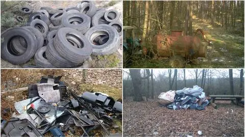 Śmieci w podwrocławskich lasach