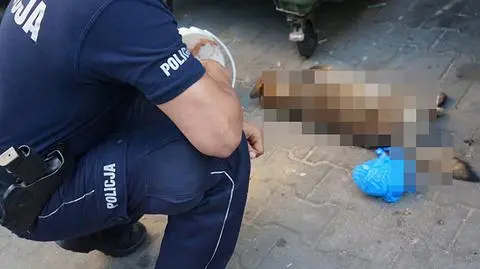 Martwy pies w kontenerze na ciuchy. Szukają tego, który zabił