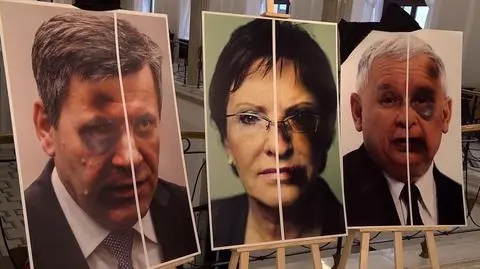 Konwencja przeciw przemocy. Platforma podzielona ws. głosowania