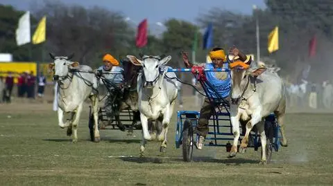 Podnoszą rowery zębami