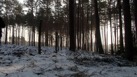Chmielnik. 19-latek zabił matkę. Przyznał się do winy