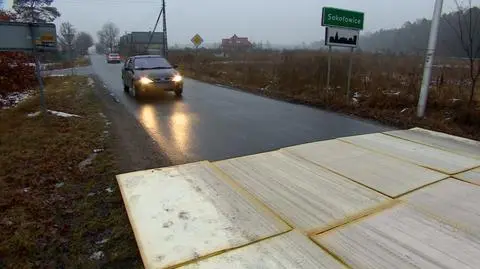 Sokołowice przez ptasią grypę znalazły się pod specjalnym nadzorem