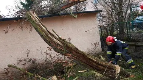 Wiatr na Pomorzu, sztorm na morzu. 
"Interweniowaliśmy ponad 180 razy"