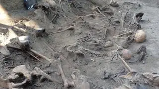 Wojenna mogiła została odkryta w miejscowości Glinka 