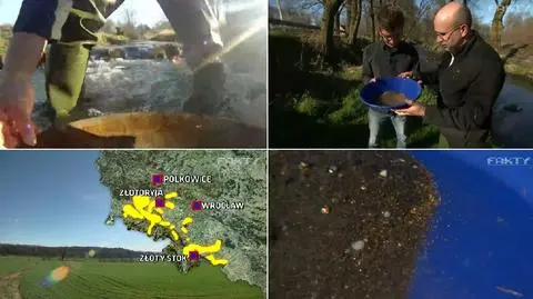 "Gorączka złota" na Dolnym Śląsku