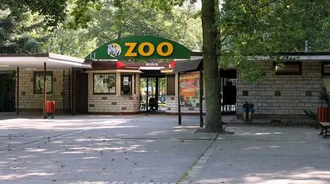 "Nasze zwierzęta muszą zostać zamknięte" 