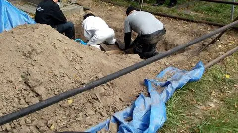 Szukali grobów ofiar komunizmu, znaleźli neolityczne zabytki