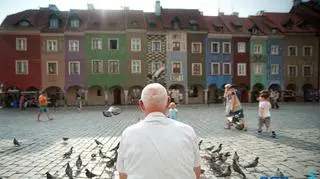 Jednym z miejsc gdzie może stanąć EKOławka jest Stary Rynek