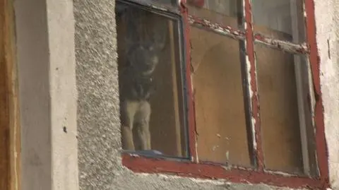 Kto pobił półtoraroczne dziecko z Czeladzi?