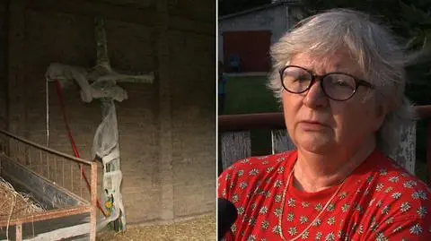 Wycięła krzyż i schowała. Prokuratura umarza postępowanie