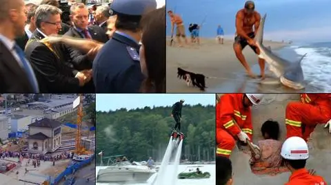 Sporty wodne, atak na prezydenta i rekin. Wybierz najlepsze nagranie