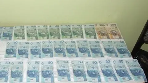 Zostawiła 12000 zł w otwartym aucie. Nastolatek skorzystał z okazji