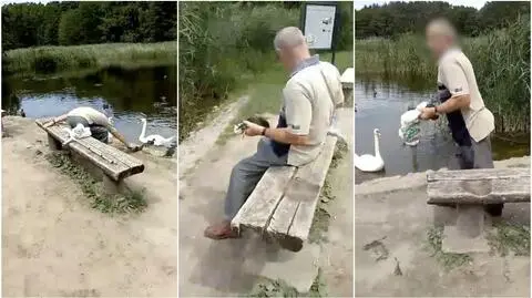 Złapał kaczkę i schował ją do reklamówki