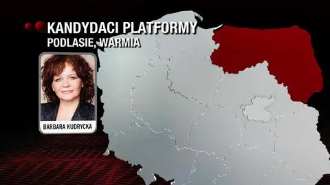 Europejski desant byłych ministrów 