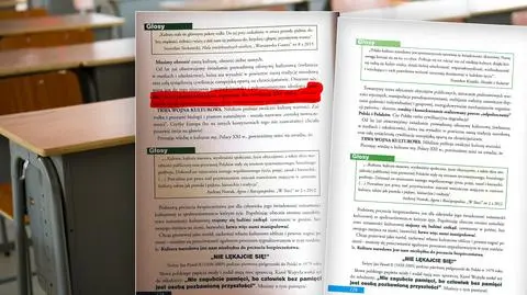 Tęczowy Piątek w polskich szkołach [wideo z 25 października]