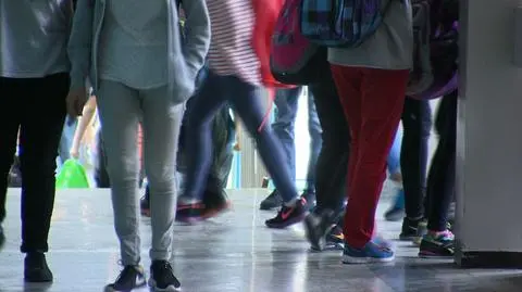 Pod względem edukacyjnym polscy gimnazjaliści wypadli świetnie (materiał "Faktów" TVN)