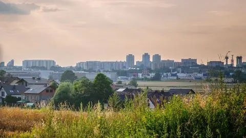 Miały opiekować się dwulatkiem, były gwałcone