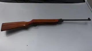 Mężczyzna strzelał do psa z wiatrówki