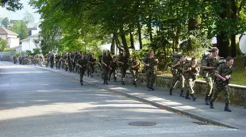 Weganin odrzucony przez szwajcarską armię