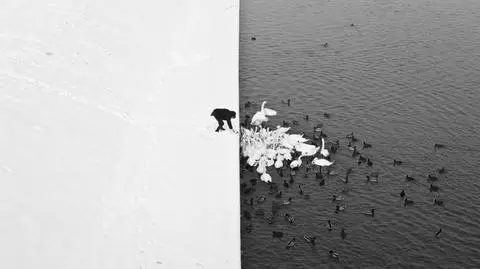 Czerń i biel - siła zdjęcia krakowskiego fotografa