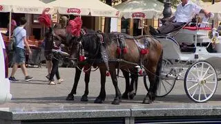 Dorożki na stałe wpisały się w krajobraz krakowskiego rynku 