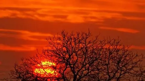 Jesienny zachód Słońca 